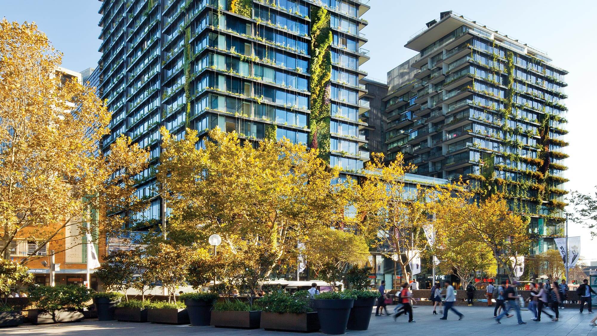 Central Park