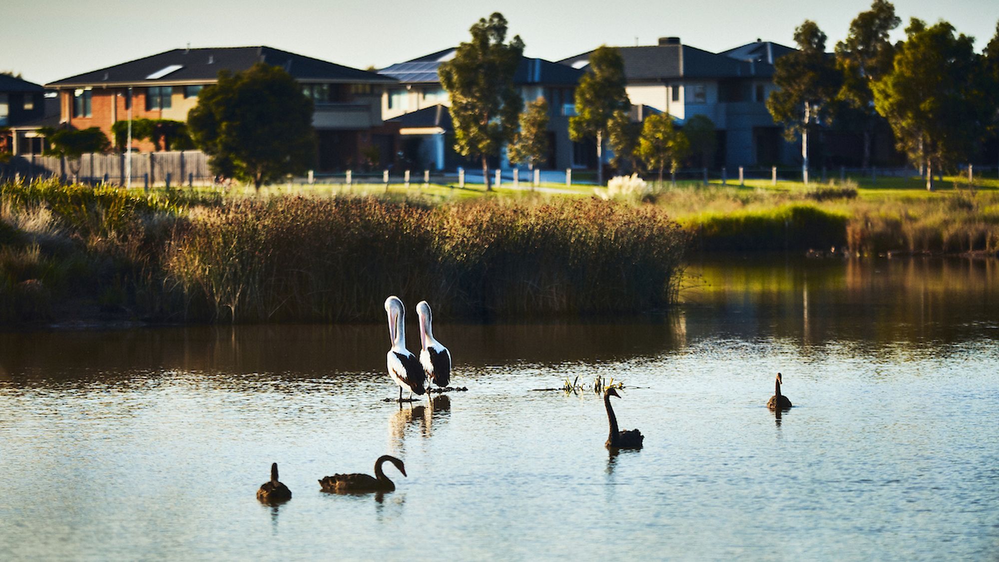 Berwick Waters by Frasers Property and Mondous Property