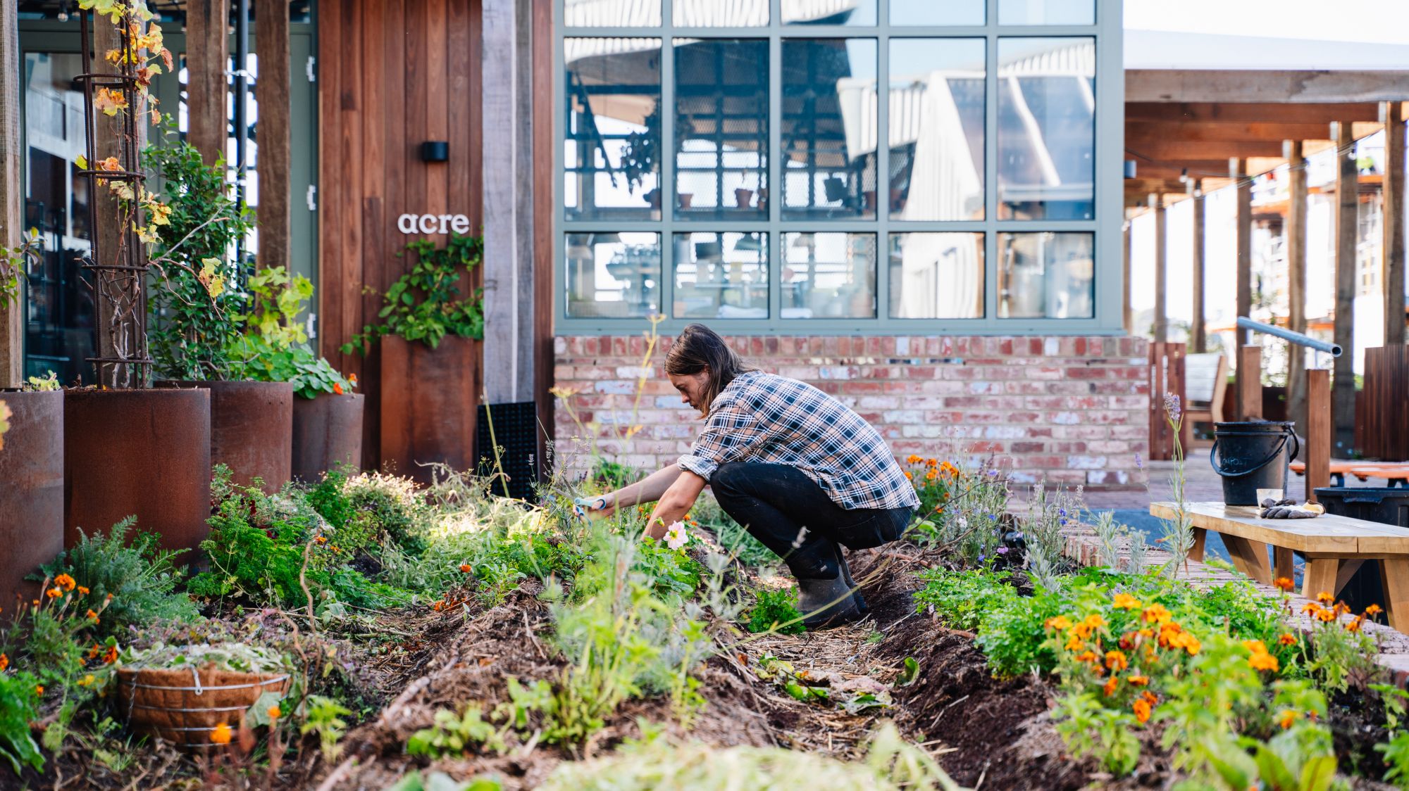 acre farm & eatery, Burwood Brickworks, Victoria. By Frasers Property Australia
