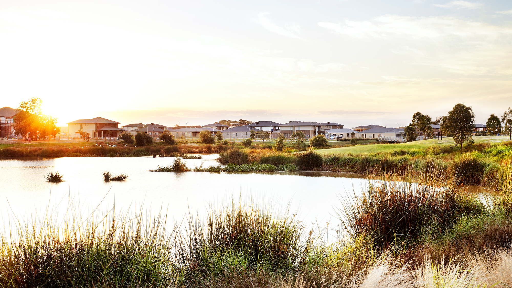 Berwick Waters landscape