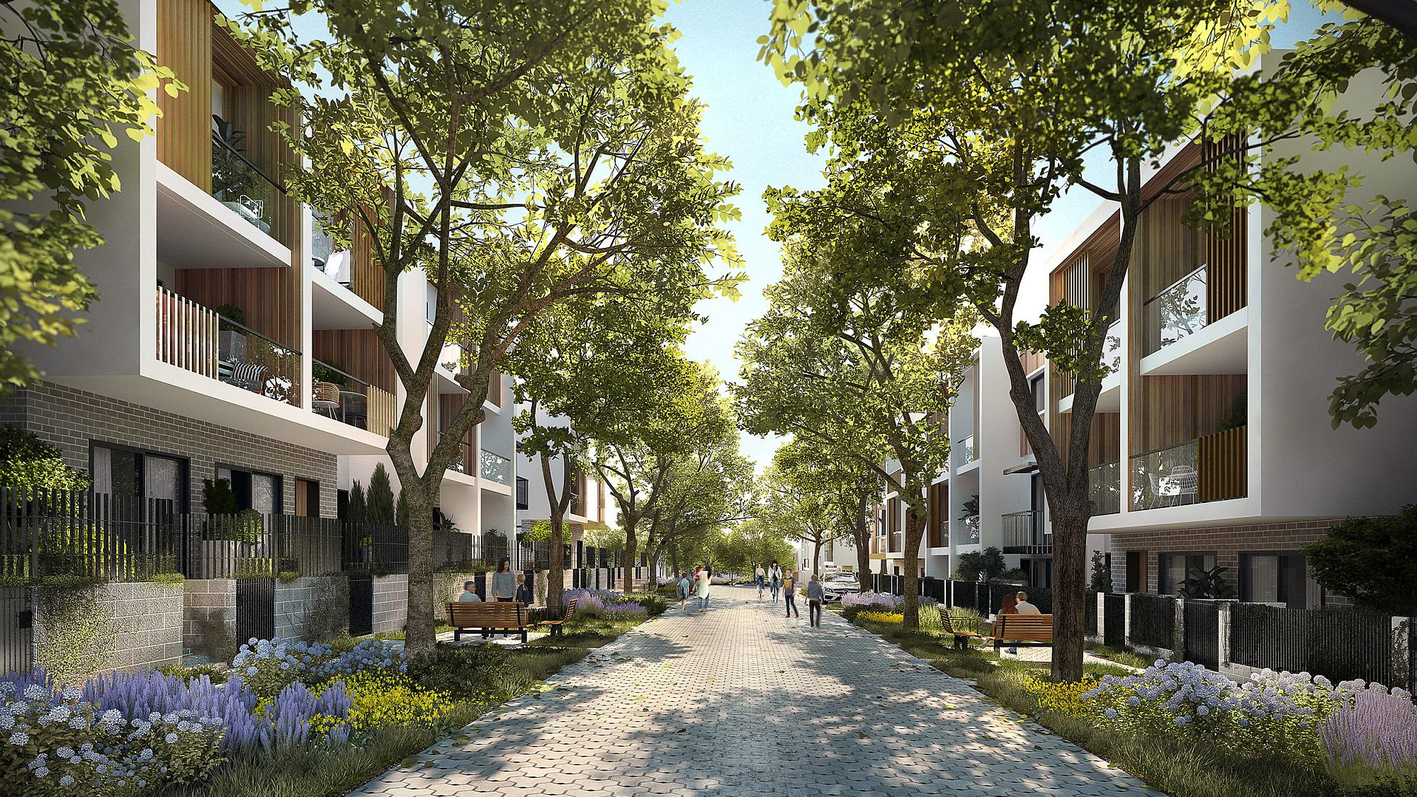 Ed Square Mews