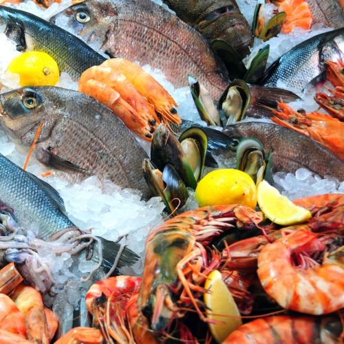 Fishery and Co