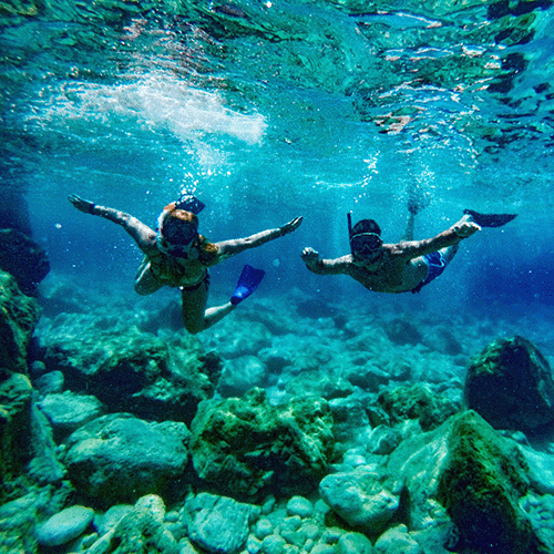 Snorkelling