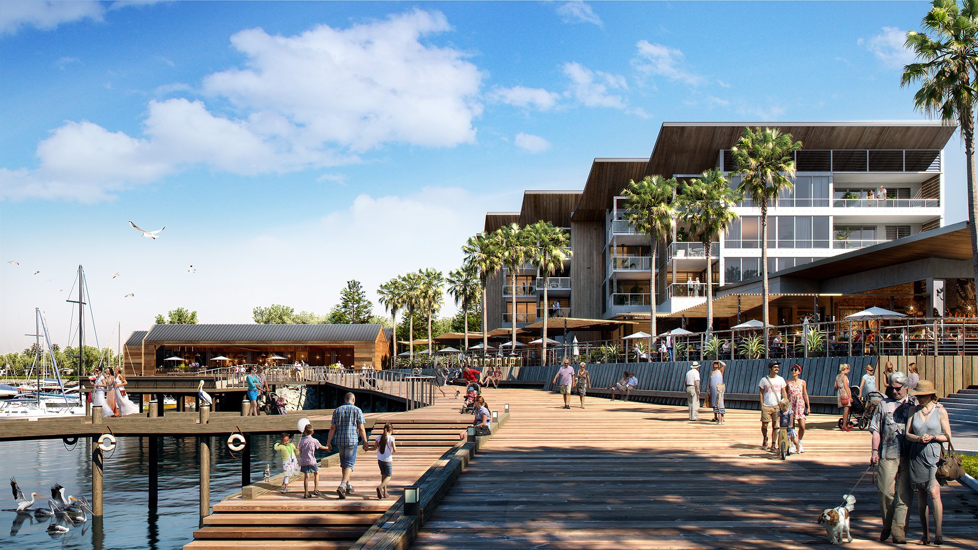 Buyers Snap Up New Homes At Shell Cove Intense Demand