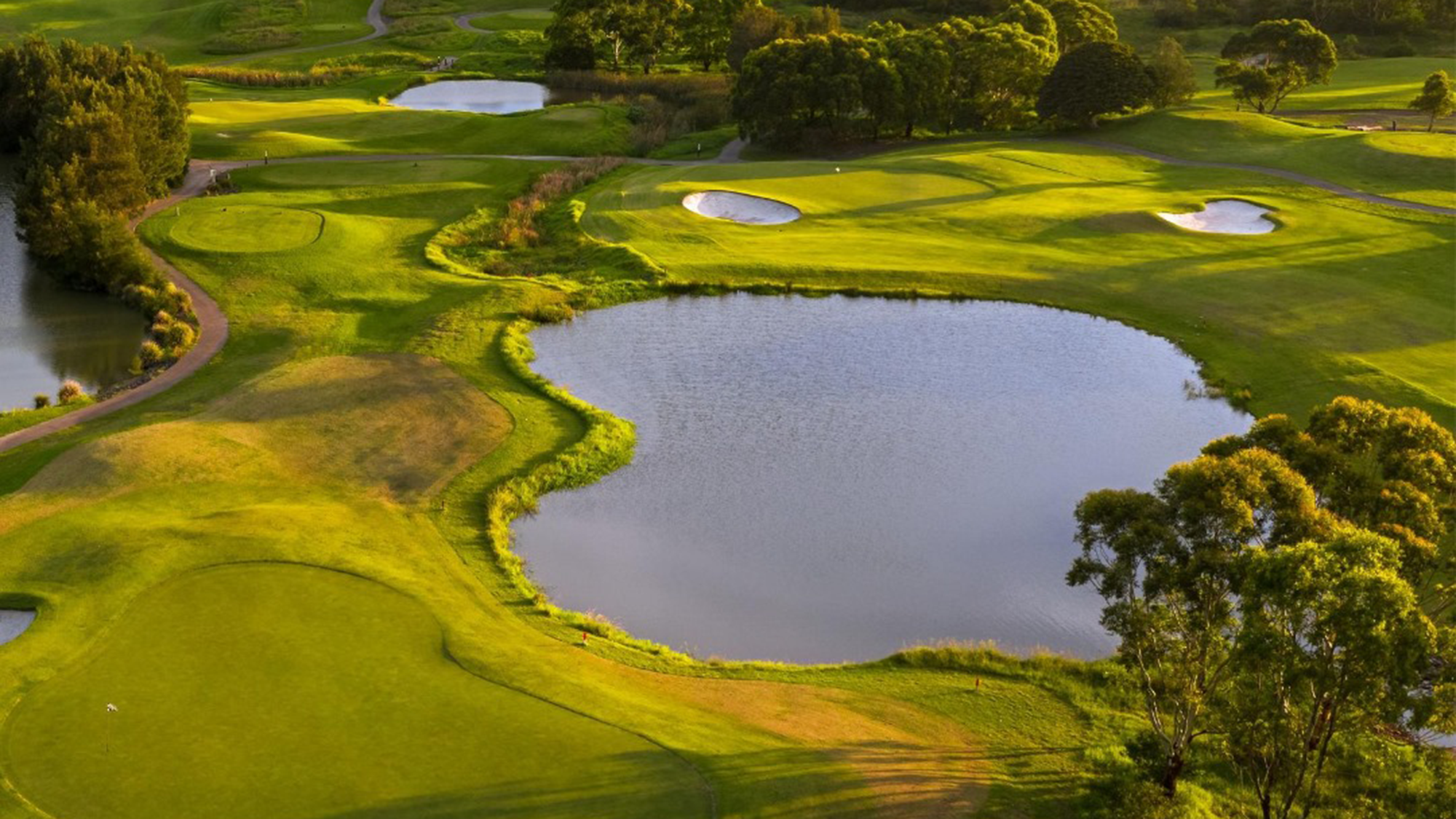 the link shell cove golf course