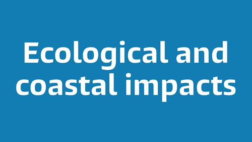 Ecological and coastal impacts