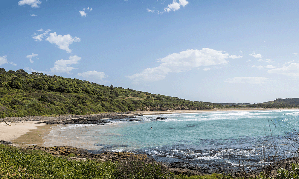 Killalea State Park