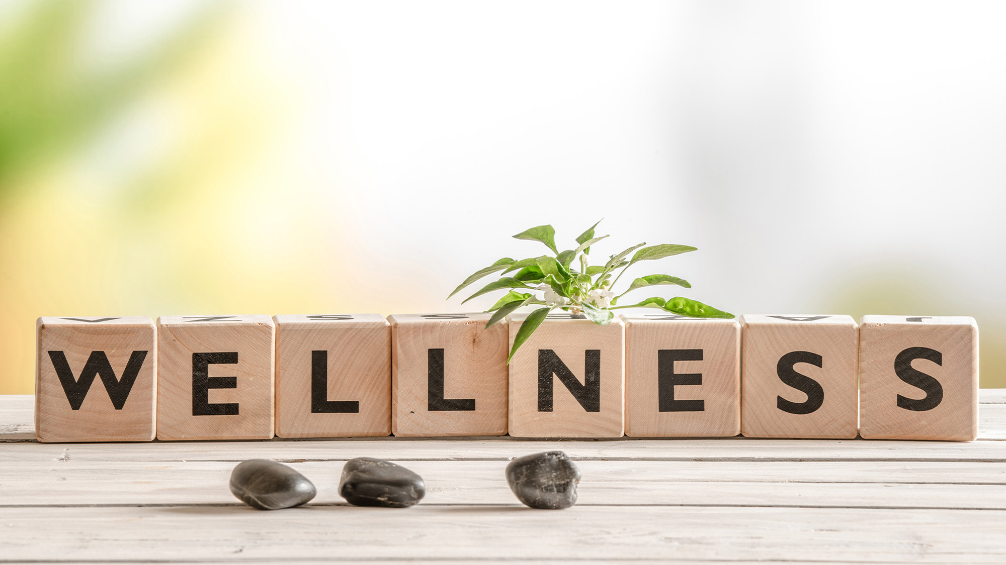 Hamilton Reach Wellness Week