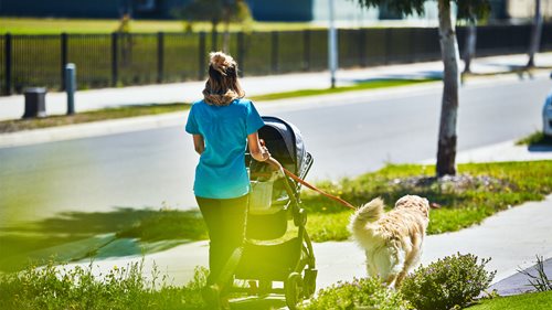 Mother with pram and dog