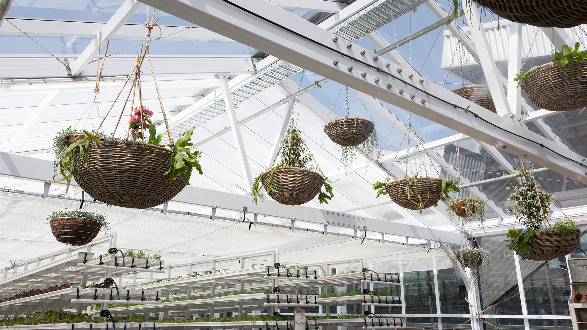 acre farm & eatery at Burwood Brickworks, the world's most sustainable shopping centre.