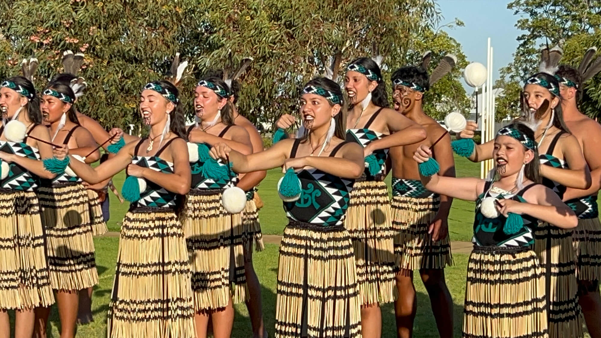 Pacific Festival in the park - Baldivis Parks 