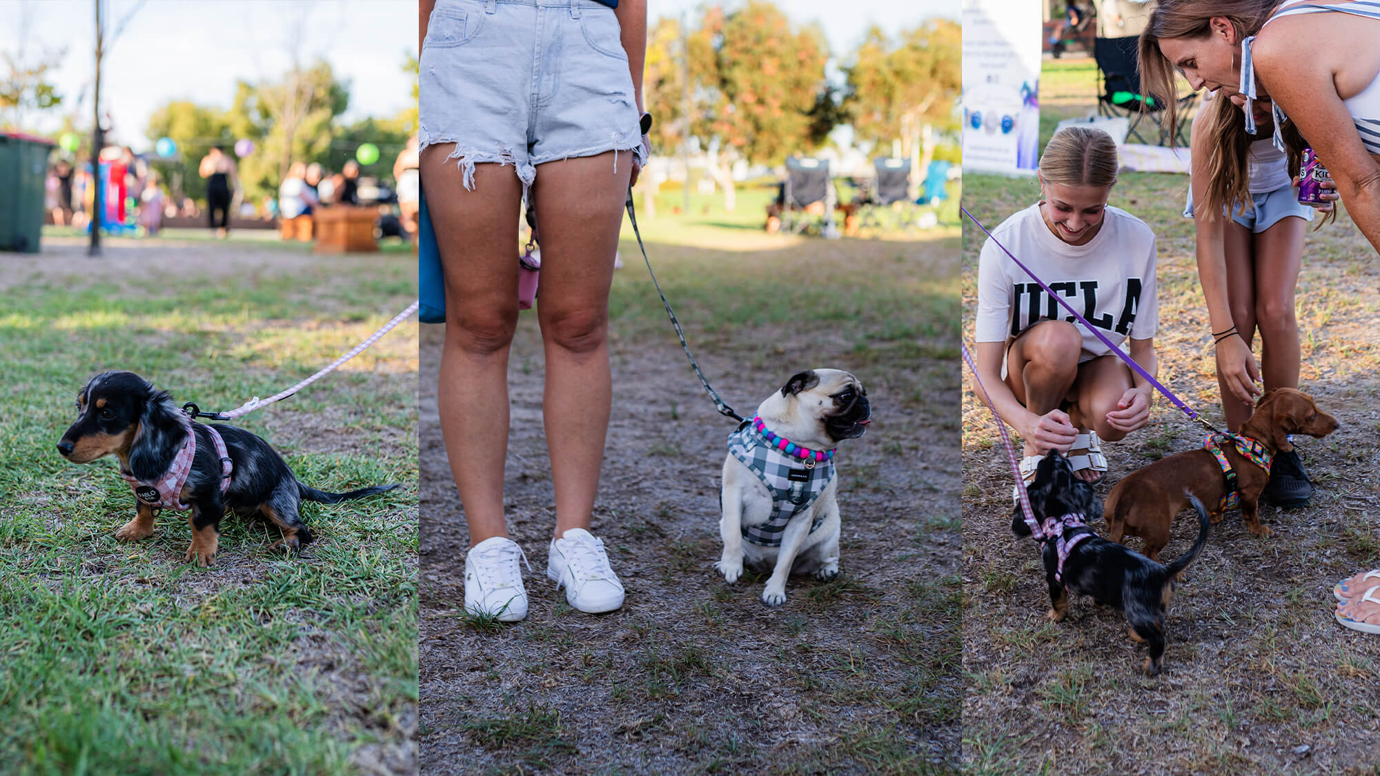 Pacific Festival in the park - Baldivis Parks 