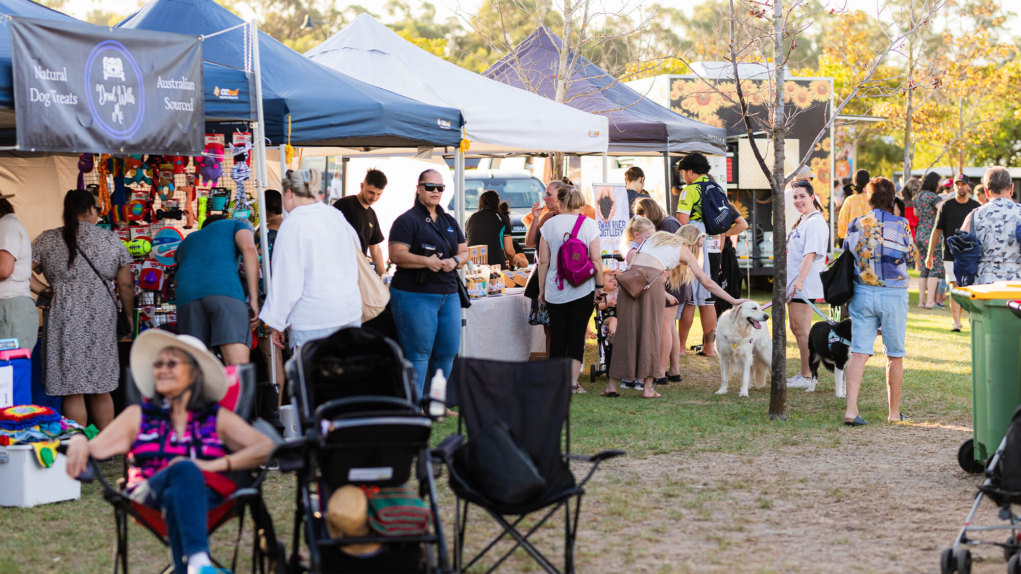 Pacific Festival in the park - Baldivis Parks 