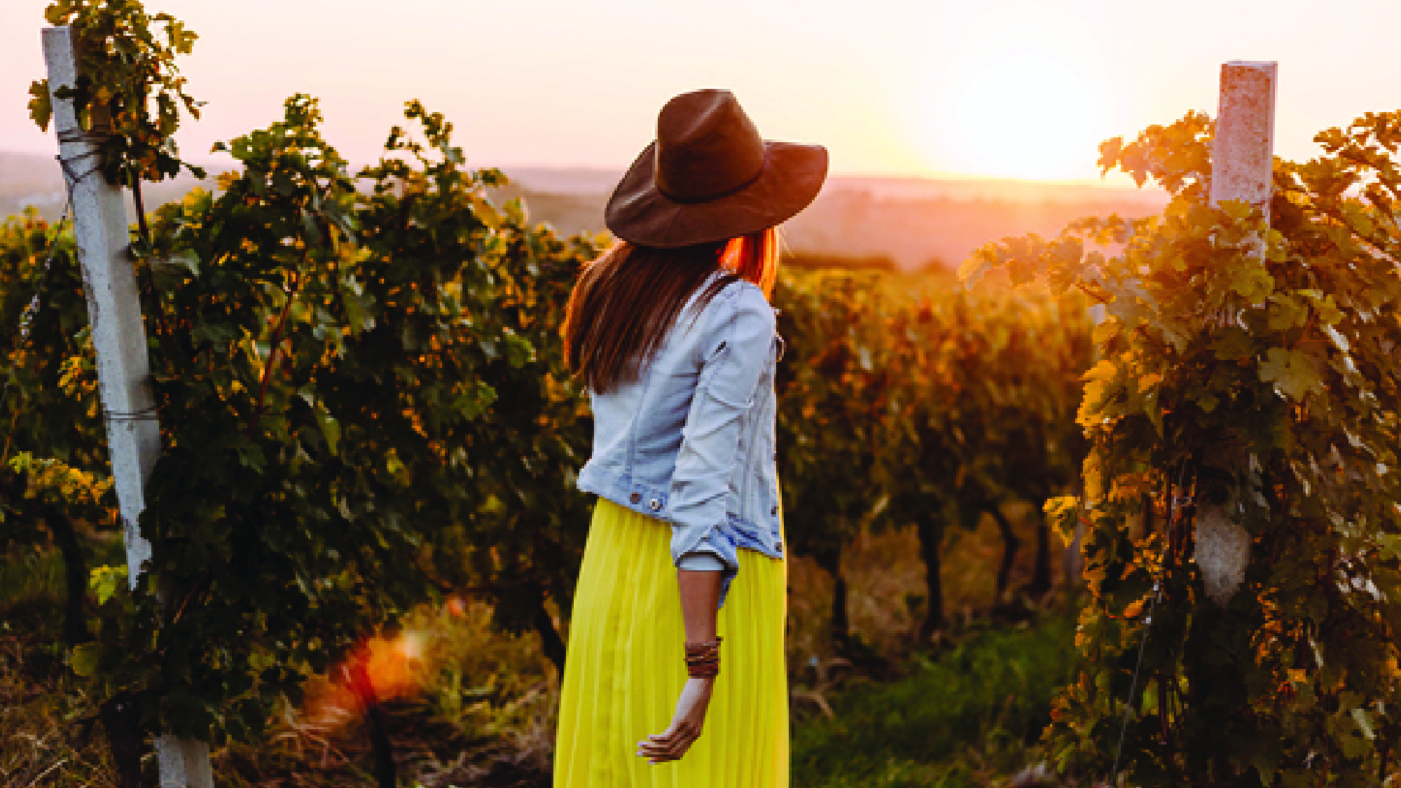 Peel Region Wine Tour