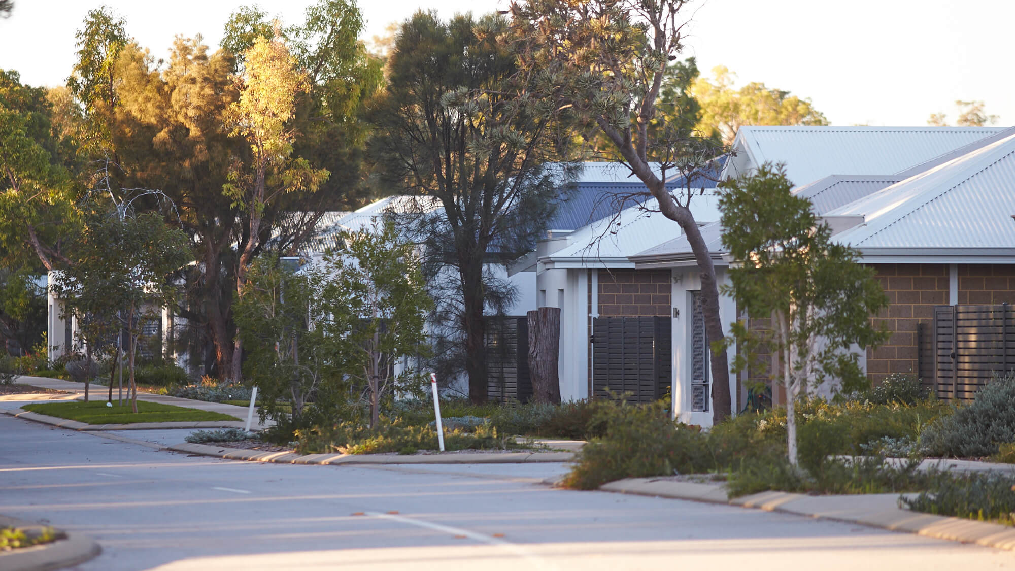 Frasers Landing Community and Construction Update - February 2026