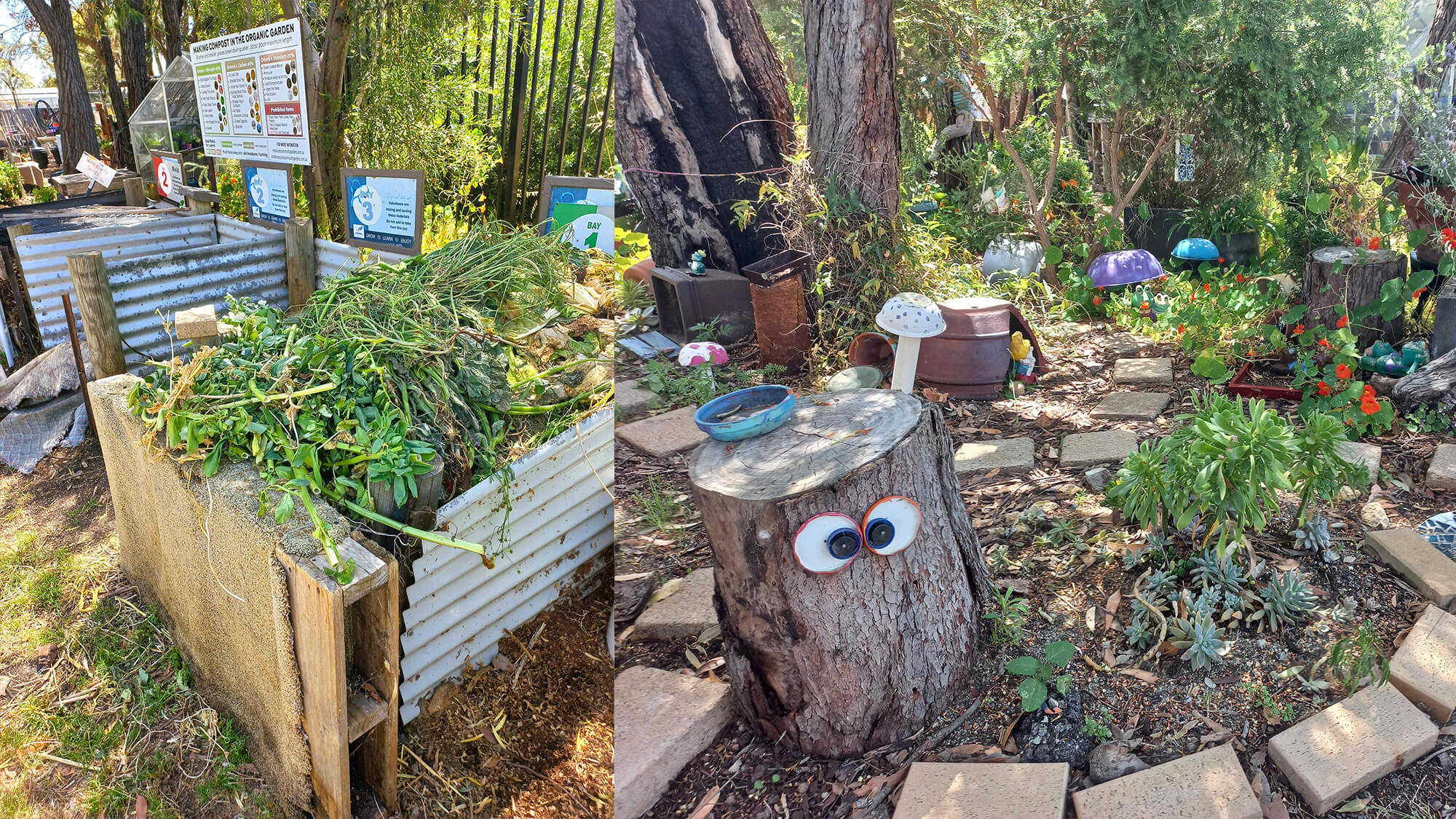 Frasers Landing Community and Construction Update - January 2026