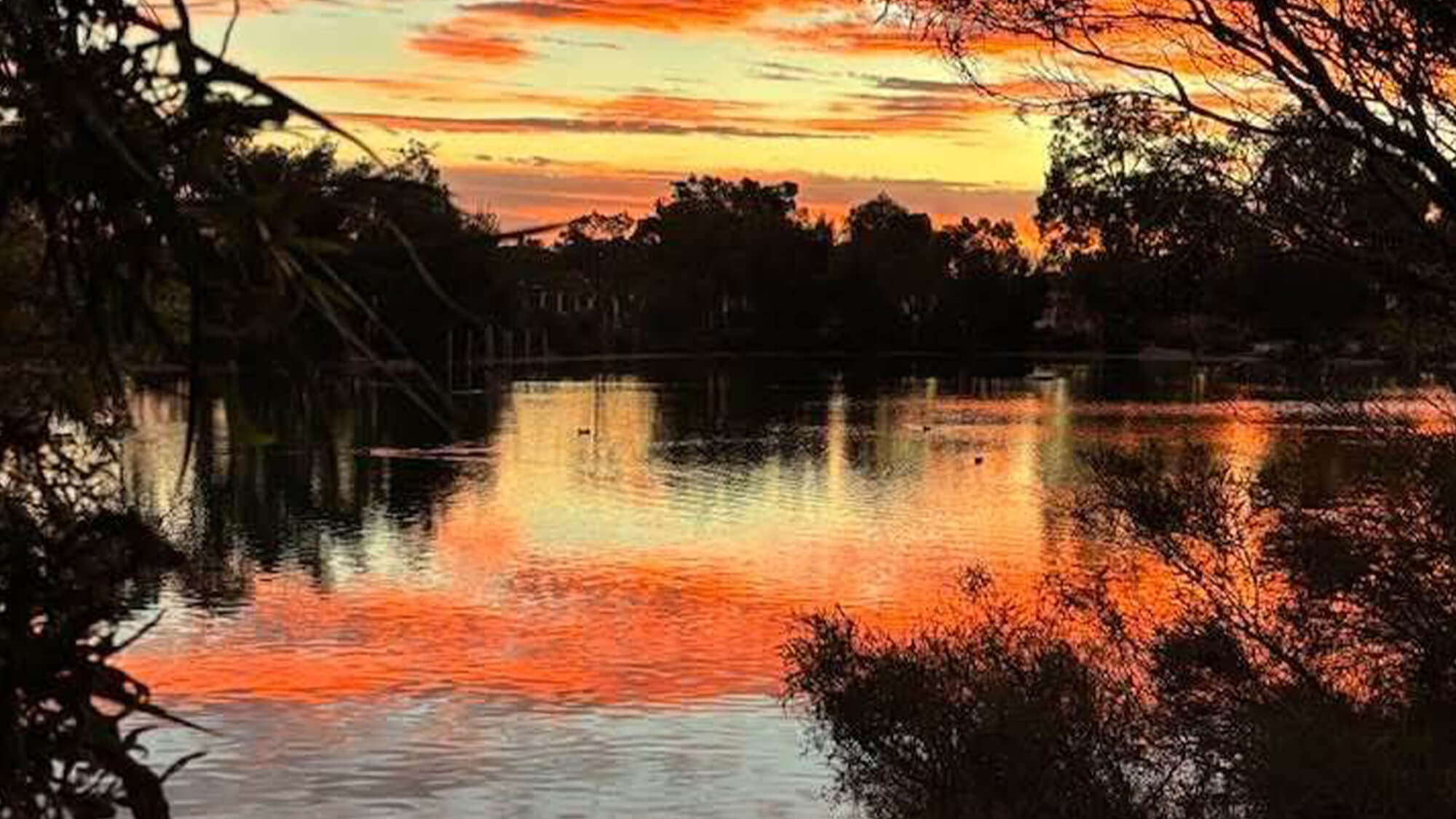 Frasers Landing Community and Construction Update - January 2026