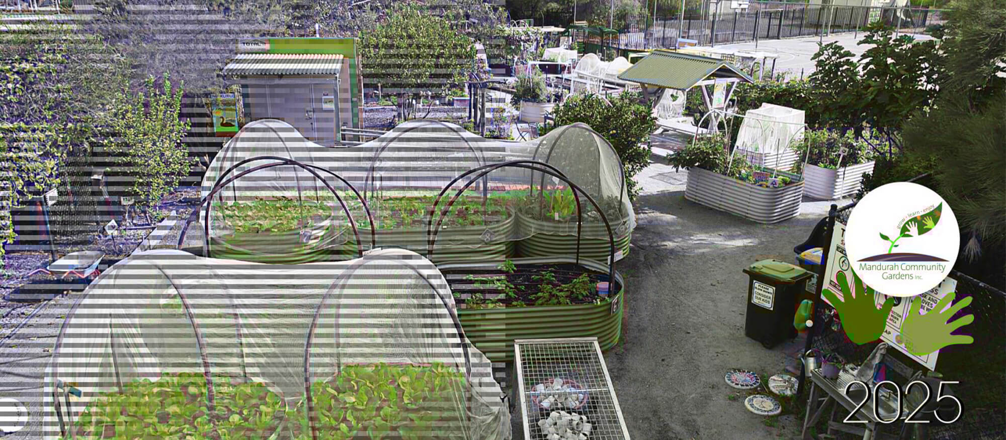 Frasers Landing Community and Construction Update - November 2025