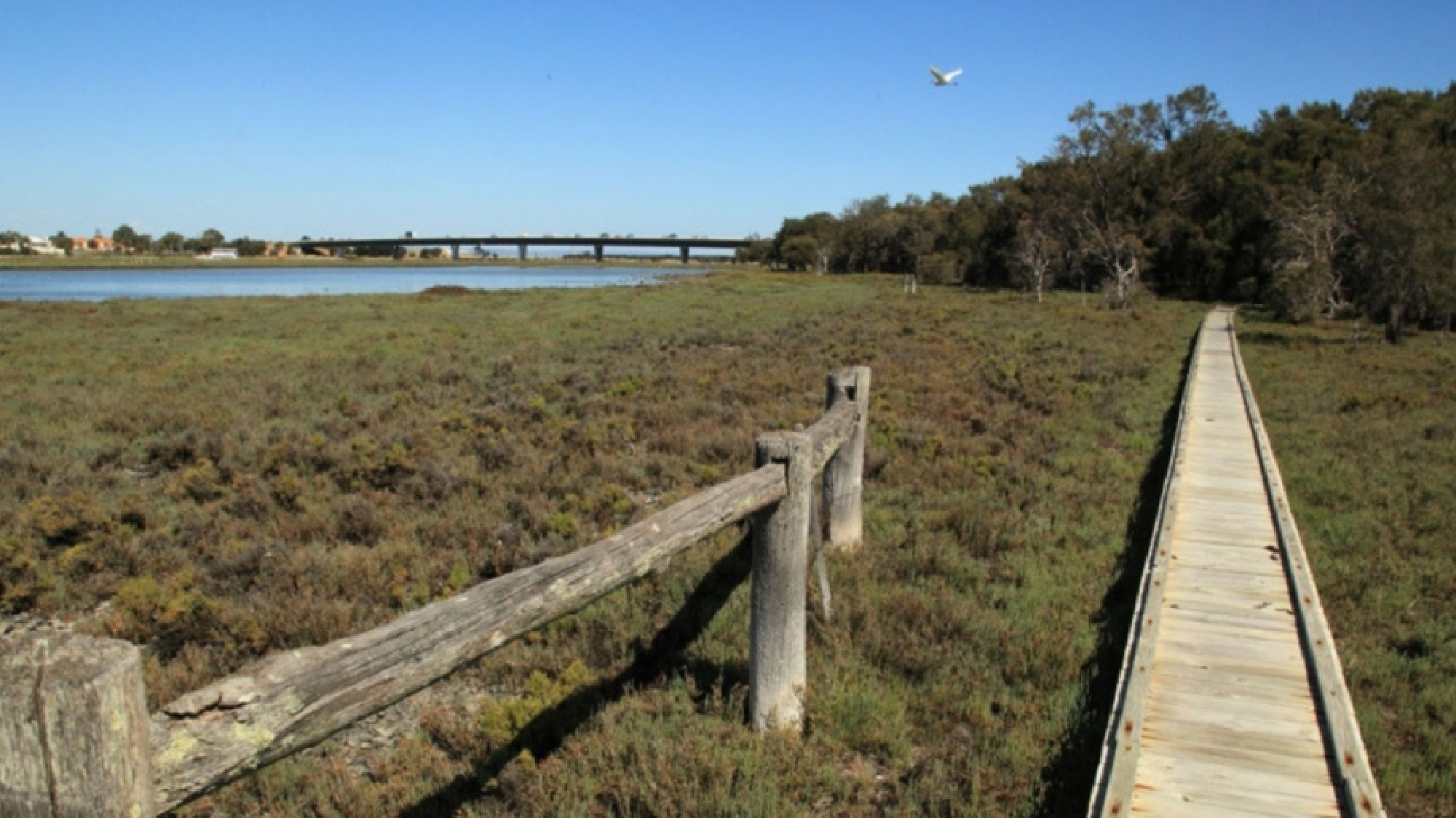Nature Trails in Mandurah