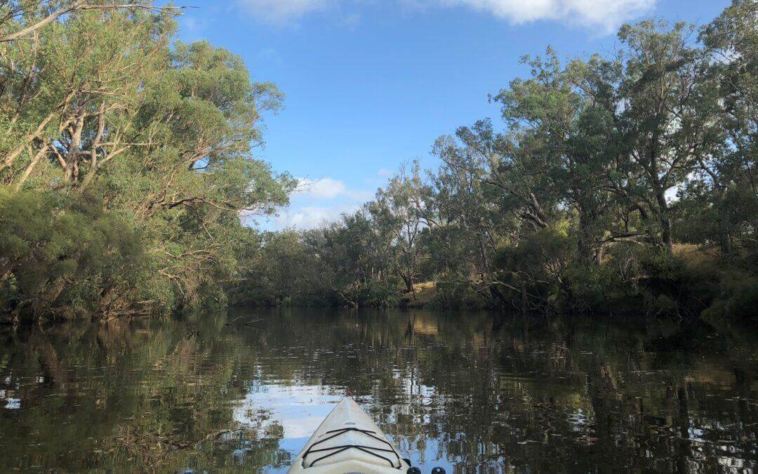 Salt and Bush Tours