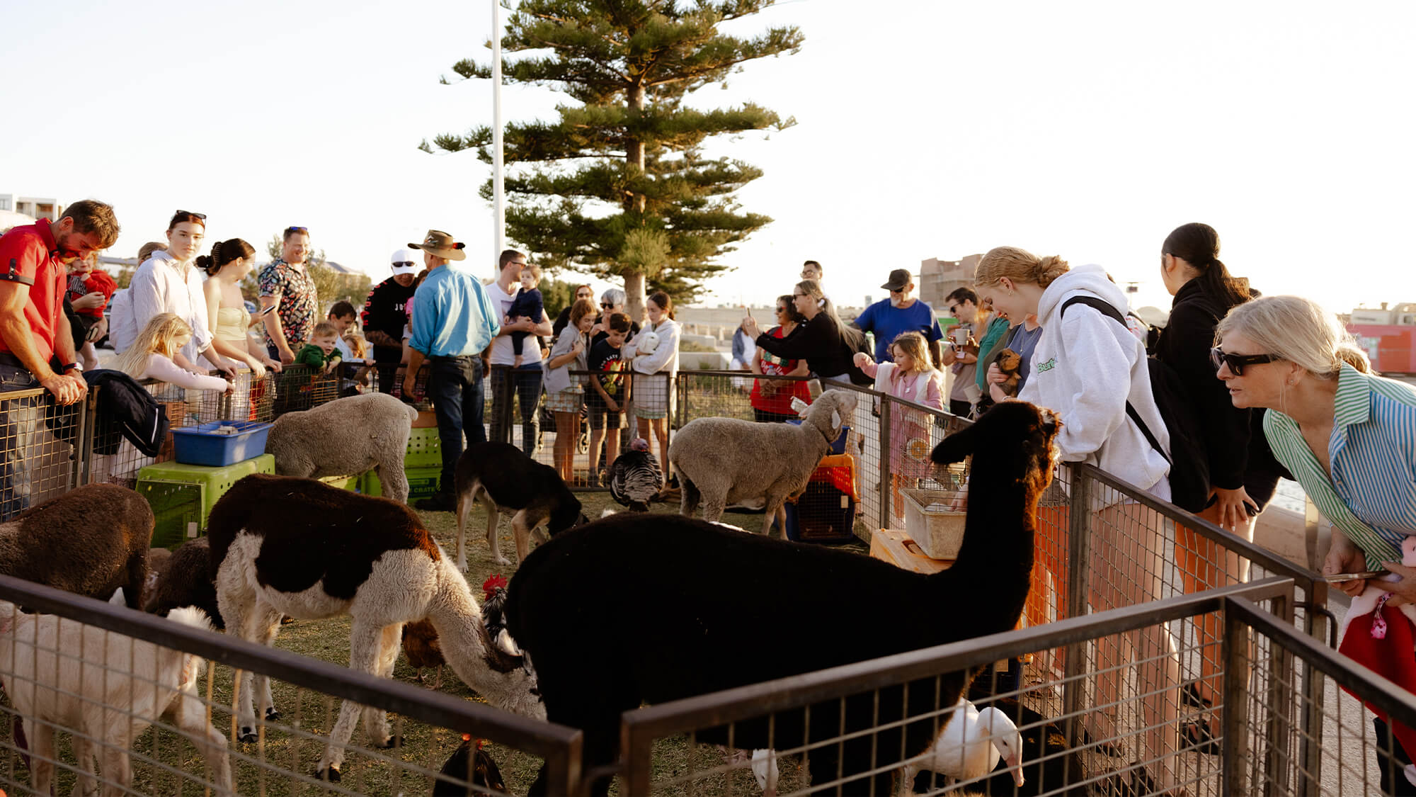 2024 Port Coogee Christmas Festival