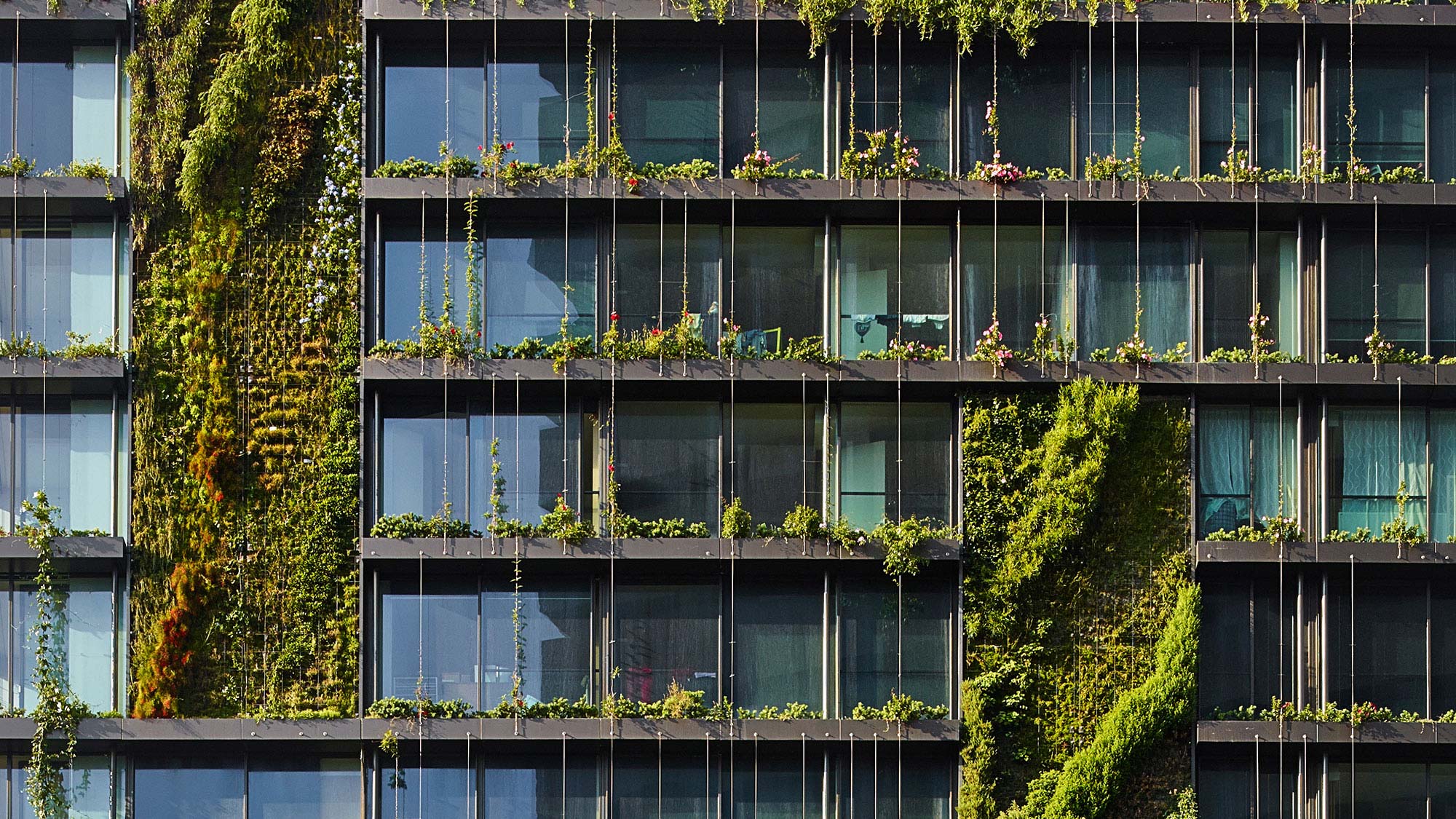 Frasers Perspective | Biophilic design and why it matters