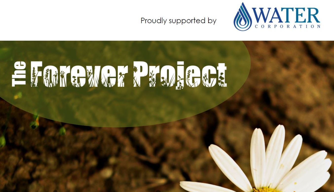 forever project