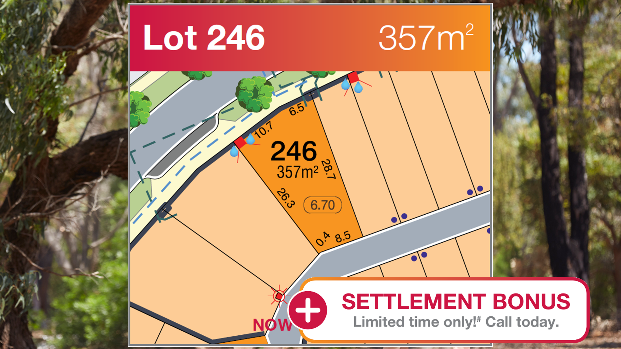 Lot 246 Dev Special